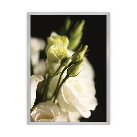 Obrazy Plagát Dark Flowers I