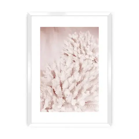 Obrazy Plagát Pastel Pink II