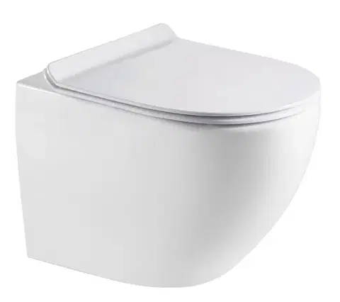 Záchody HOPA - Závesné WC ARCO LONGER RIMLESS so SLIM sedadlom Soft-close OLKLT067ER
