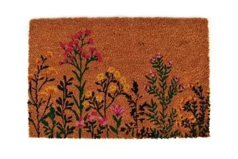 Rohožky Kinekus Rohož 40x60 cm PVC + kokos LÚKA