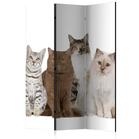 Paravány Paraván Sweet Cats Dekorhome