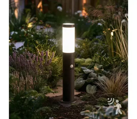 Záhradné lampy BRILAGI - Vonkajšia lampa s pohybovým čidlom ELIA 1xE27/20W/230V IP44 50 cm antracit GD-EL0R50-93