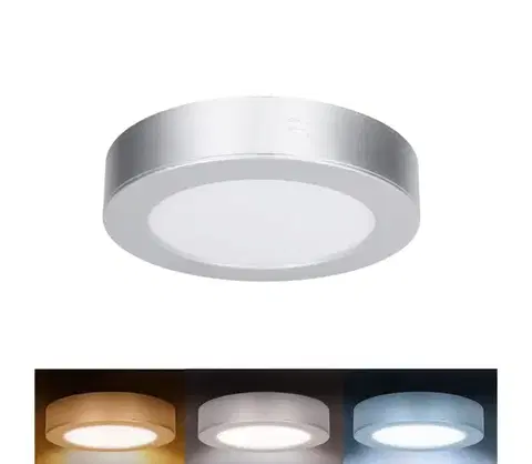 Svietidlá  WD240-S - LED panel 2v1 LED/12W/230V 3000/4000/6000K priemer 17 cm IP54 strieborný WD240-S