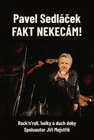 Film, hudba Fakt nekecám! - Pavel Sedláček,Jiří Mejstřík