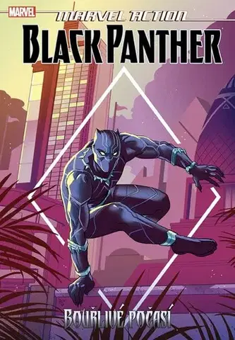 Komiksy Black Panther: Bouřlivé počasí - Kolektív autorov,Petr Novotný