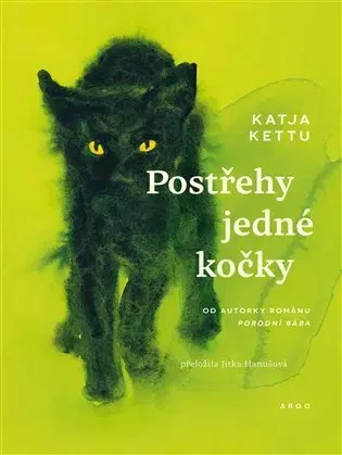 Svetová beletria Postřehy jedné kočky - Katja Kettu