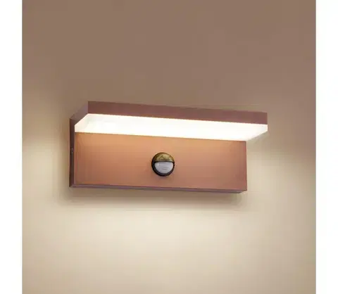 LED osvetlenie BRILAGI-LED Vonkajšie nástenné svietidlo so senzorom TESSI LED/10W/230V hnedé IP54 BRI553