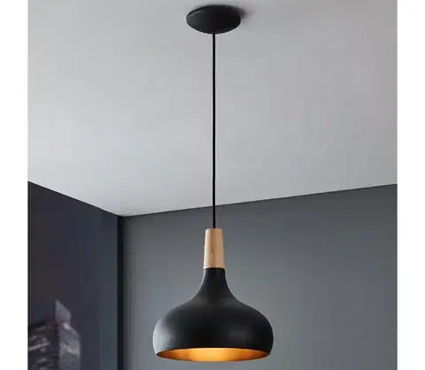 Svietidlá Eglo 900162 - Luster na lanku SABINAR 1xE27/40W/230V pr. 28 cm 900162