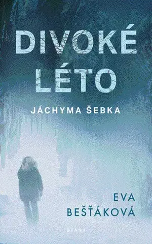 Česká beletria Divoké léto Jáchyma Šebka - Eva Bešťáková