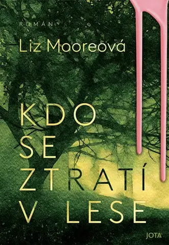 Detektívky, trilery, horory Kdo se ztratí v lese - Liz Moore