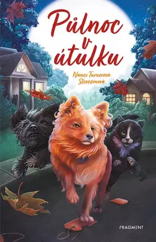 Young adults Půlnoc v útulku - Nanci Turnerová Stevesonová