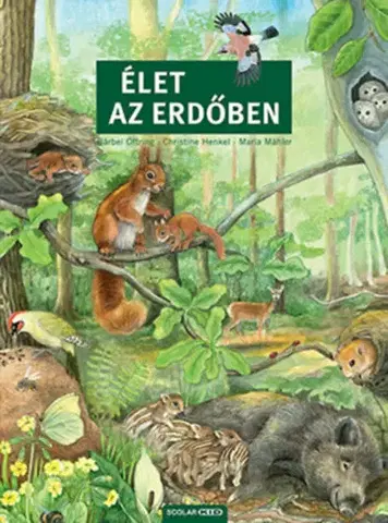 Leporelá, krabičky, puzzle knihy Élet az erdőben - Bärbel Oftring