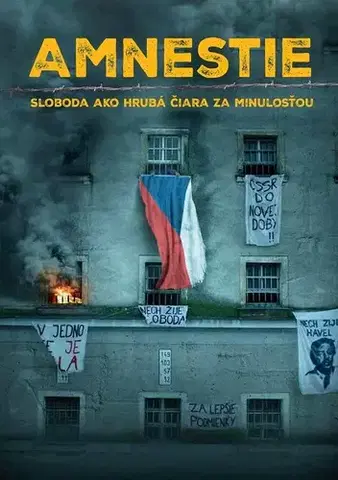 Slovenské a české dejiny Amnestie. Sloboda ako hrubá čiara za minulosťou - Kolektív autorov,Danglár Gertli Jozef