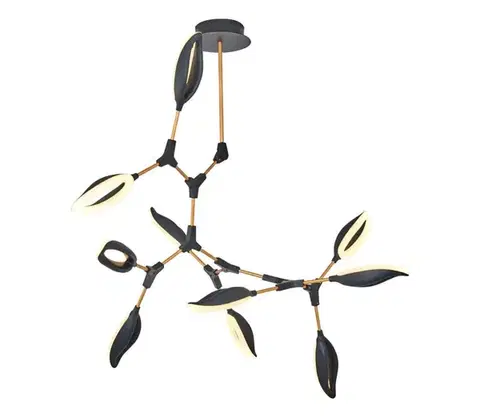 Svietidlá  LED Luster na tyči ASTI 10xLED/7W/230V 3000K čierna 414LRC1338