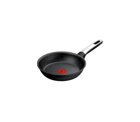 Panvice a hrnce Tefal - Panvica EXPERTISE 20 cm G3330243