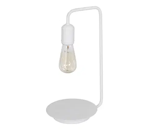 Lampy  Stolná lampa TABLE LAMPS 1xE27/60W/230V 8983
