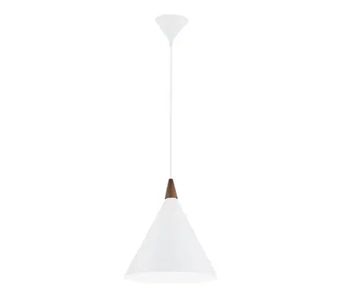 Svietidlá Argon 8631 - Luster na lanku KEGEL 1xE27/15W/230V biela 8631