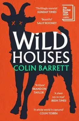 Svetová beletria Wild Houses - Colin Barrett