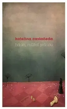 Novely, poviedky, antológie Hádej, můžeš jednou - Kateřina Castaneda