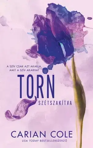 Romantická beletria Torn - Szétszakítva - Carian Cole