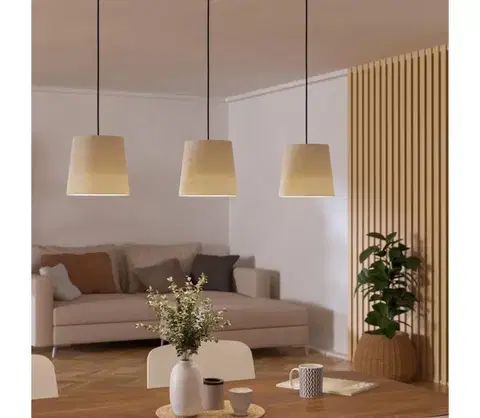 Svietidlá Eglo 901263 - Luster na lanku FEBRES 3xE27/60W/230V 901263
