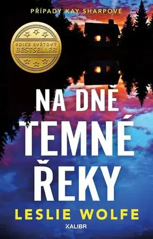 Detektívky, trilery, horory Na dně Temné řeky - Leslie Wolfe