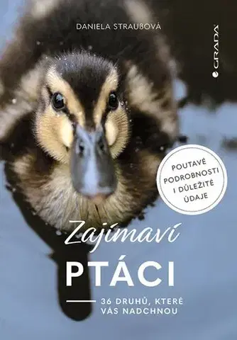 Biológia, fauna a flóra Zajímaví ptáci - Daniela Straußová