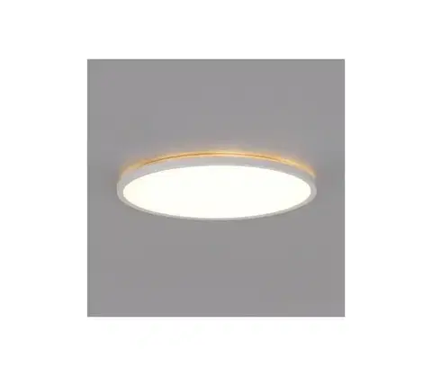 Svietidlá  LED kúpeľňové stropné svietidlo NIVERA LED/32W/230V IP54 pr. 42 cm biele 004092