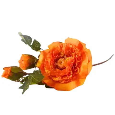 Záhradné dekorácie Iskerník 60cm oranžová A2010586