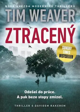 Detektívky, trilery, horory Ztracený - Tim Weaver