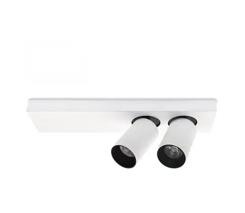 LED osvetlenie  LED Stropné bodové svietidlo BERGEN 2xLED/11W/230V KSBN