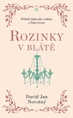 Romantická beletria Rozinky v blátě - Jan David Novotný