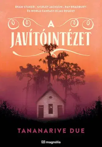 Detektívky, trilery, horory A javítóintézet - Tananarive Due