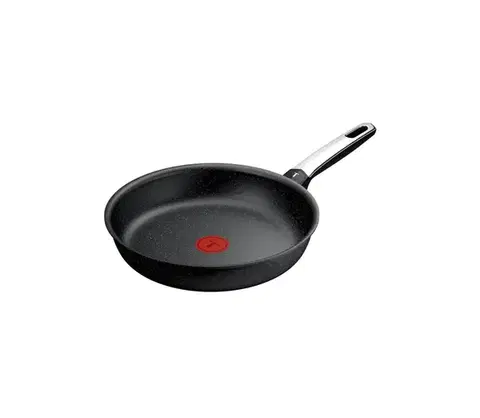 Panvice a hrnce Tefal - Panvica EXPERTISE 26 cm G3330543