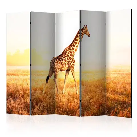 Paravány Paraván giraffe - walk Dekorhome