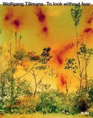 Fotografia Wolfgang Tillmans: To look without fear