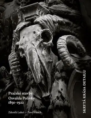Architektúra Skrytá krása detailu - Zdeněk Lukeš,Pavel Hroch