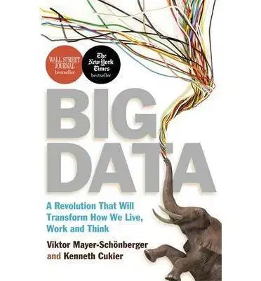 Cudzojazyčná literatúra Big Data - Viktor Mayer-Schönberger,Kenneth Cukier