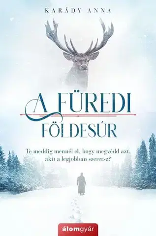 Romantická beletria A füredi földesúr - Anna Karády