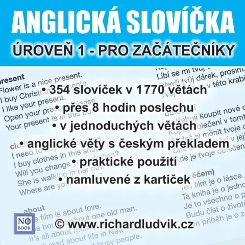 Jazykové učebnice - ostatné Ludvík Richard Anglická slovíčka - úroveň 1 pro začátečníky