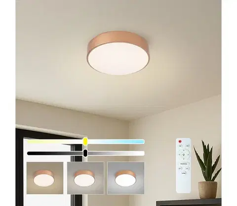 Svietidlá BRILAGI - Stmievateľné LED stropné svietidlo POOL LED/24W/230V pr. 20 cm bronzové +DO BRI1012