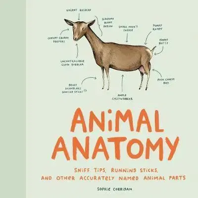 V cudzom jazyku Animal Anatomy - Sophie Corrigan