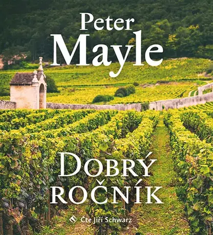 Svetová beletria Tympanum Dobrý ročník - audiokniha