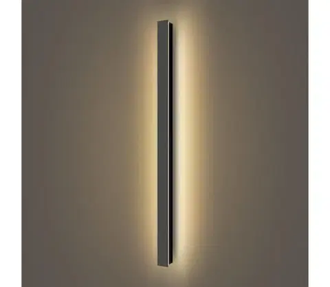 LED osvetlenie BRILAGI - LED vonkajšie nástenné svietidlo LINEAR LED/22W/230V 3000K IP65 čierna BRI283