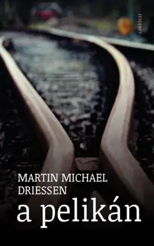 Svetová beletria A pelikán - Martin Michael Driessen