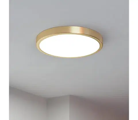 Svietidlá Eglo 900182 - LED stropné svietidlo FUEVA LED/20,5W/230V pr. 28,5 cm 900182