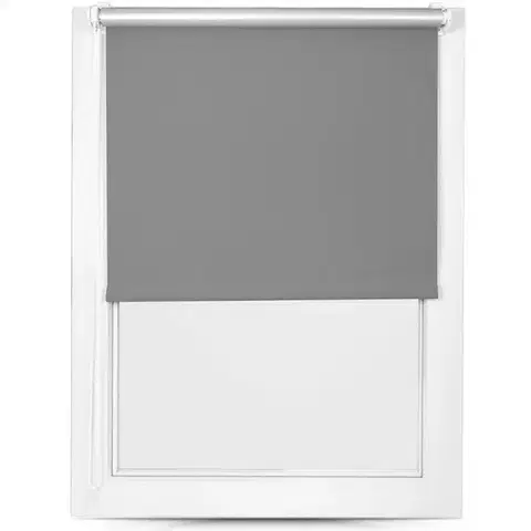 Rolety Roleta Mini Silver 68/215 MGR SXL-061