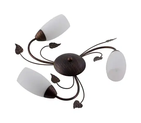 Svietidlá Globo 60800323X - Prisadený luster VENEZIA 3xE14/40W/230V 60800323X