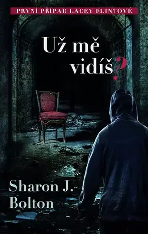 Detektívky, trilery, horory Už mě vidíš? - 2. vydání - Sharon Bolton