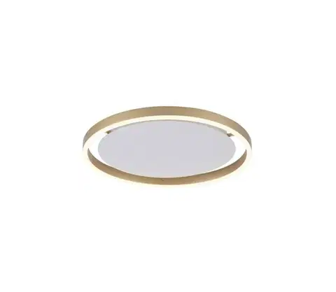 Svietidlá Leuchten Direkt 15391-60 - LED Stmievateľné stropné svietidlo RITUS LED/20W/230V 15391-60